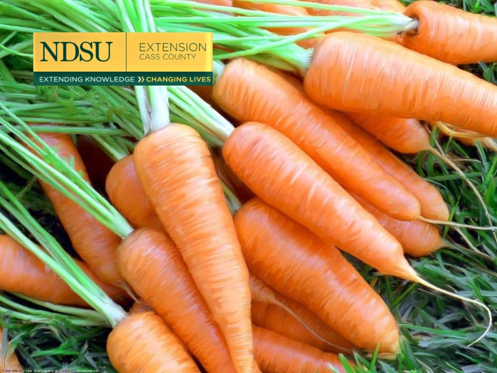 The Basics of Vegetable Gardening